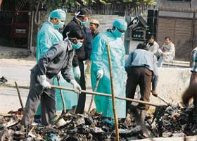 Doctors from the All-India Institute of Medical Sciences (AIIMS) fish for body parts along with labourers in the drainage