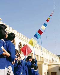 KITE TRAIN: Students of The Gurukul, Sector 20, Panchkula, try their hand at kite flying at the Basant Panchami celebrations in the school