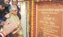 Delhi Chief Minister Sheila Dikshit inaugurating a cricket ground at Government Senior Secondary School Bharat Nagar, near Ashok Vihar