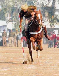 A Punjab Police cop performs the spectacular feat of tent pegging during the Republic Day celebrations in Ludhiana on Friday.