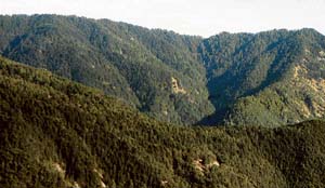 Queen of Hills struggles to find adequate water sources. 