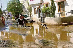 A water-logged road in Sector 19, Panchkula, has become the bane of residents of the area