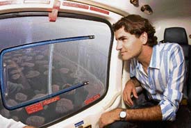 On top of the world: Roger Federer of Switzerland enjoys the view of The World project during a helicopter flight in Dubai on Sunday. 