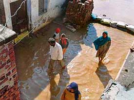 Incessant rain inundated several houses in Daon village in Mohali district on Thursday.
