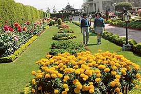 A view of the Gurukul, Sector 20, Panchkula, which won the best campus award in the senior school category.