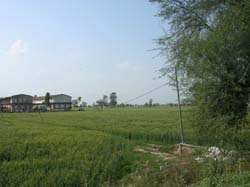 A view of the hatchery located near Khanda Kheri village in Hisar. 