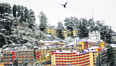 Tribune photo by S. Chandan
