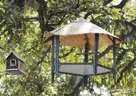 A beautiful hut created out of waste material hangs on a tree in the premises of the Government Model High School, Sector 20, Chandigarh