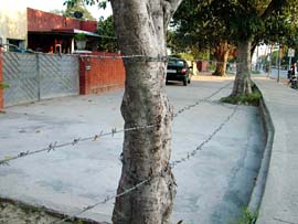 To block the movement of pedestrians, the PA of the Divisional Commissioner, Jalandhar, has put barbed wire outside his residence in Old Baradari.