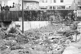 Garbage in the open at Goal Market of the Gandhi Nagar locality in Jammu.