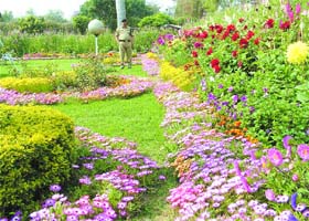 An award winning garden on the BSF campus in Jalandhar