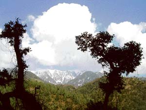 Clouds weave a bewitching formation at Barot (Jogindernagar) on the border of Mandi and Kangra districts with the snow-capped Dhauladhar ranges in the background. 