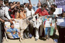 Indian cricket supporters parade a pair of donkeys adorned with posters of Mahendra Singh Dhoni and Sourav Ganguly in Ahmedabad.