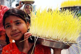 A girl carries flowers and puja material to be immersed in the Tawi on the conclusion of ashtami in Jammu on Monday.