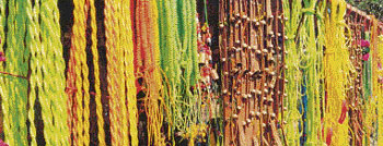 CATTLE ACCESSORIES