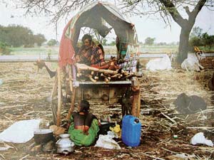 Most migrants sleep under the open sky in all weather conditions. The nutrition is sub-minimal.