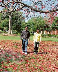 Two youths walk on a spread of flowers shed by a tree in Ludhiana.
