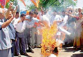 Members of the BJP burn the effigy of Uttar Pradesh Chief Minister Mulayam Singh Yadav in Chandigarh on Monday. They were observing “Virodh Divas” following the arrest of party president Rajnath Singh over CD episode.