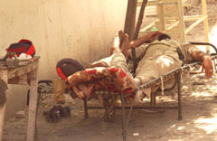 Two personnel of the mobile Police Control Room team napping under the shadow of a tree in Jalandhar on Thursday afternoon.