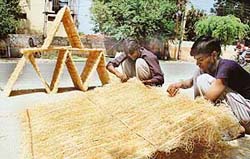Workers make straw sets for coolers in Ludhiana. 