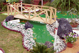A model of a full-sized pond
