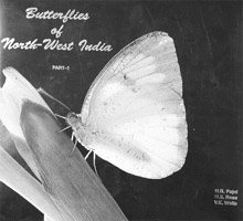 Butterflies of North-West India