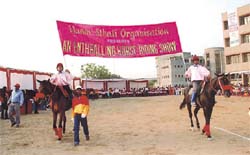 A horse riding show was held at Bhatnagar International School, Vasant Kunj
