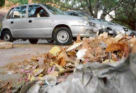 Heaps of leaves near the parking lots in Sector 17 that pose a fire threat.