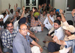 MC employees stage dharna against DSP in Kapurthala.