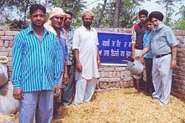 Experts of animal husbandry department demonstrate a novel way of enriching fodder with urea. 