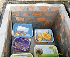 Vijay Setia is using rice husk ash to the fullest. He even uses this byproduct as a refrigeration material to keep fruits cool