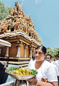 Sri Lankan captain Mahela Jayawardenes mother Sunila carries a tray of fruits and flowers as an offering to Hindu gods during a special religious ceremony in Colombo.