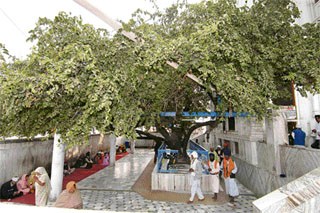 A photograph of Gurdwara Ber Sahib by D. S. Jaspal