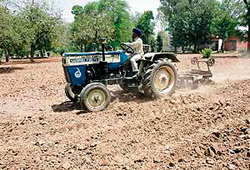 A municipal corporation employee is seen ploughing the open space at the Summer Palace of Maharaja Ranjit Singh in Amritsar on Tuesday. 
