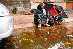 Rain Cower: This couple seems to enjoy the rain that caught Chandigarh residents unawares on Wednesday morning.
