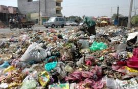 A heap of garbage lying on the Hoshiarpur road in Phagwara. 