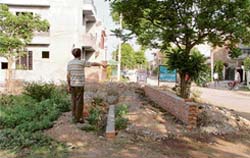 A green park being extended on to the road in Urban Estate, Phase-I, Dugri, in Ludhiana