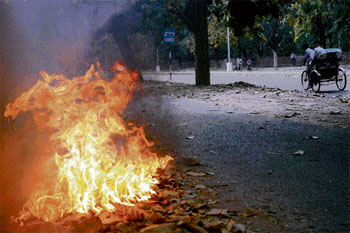 Fallen leaves, a precious recyclable natural asset, are often burnt 