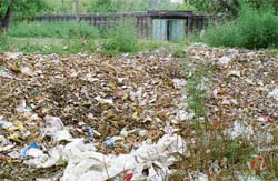 Heaps of garbage on the rear side of phase 3 of the Rock Garden in Chandigarh