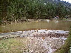 Dry weather has forced the water level in Dal Lake near McLeodganj to recede, threatening the survival of fish