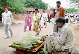 A man sells cucumbers on the premises of the Punjab and Haryana High Court under unhygienic conditions.