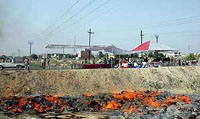 Narcotics being burnt by the police in Sector 4, Karnal, on Friday.