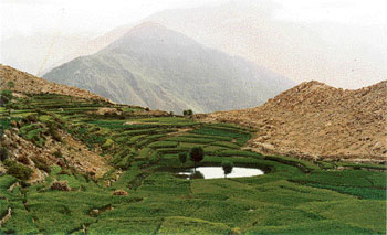 The road to Tawang brings many a picturesque scene 