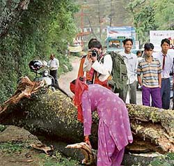 Residents cut a tree so as to restore traffic on the blocked Dharamsala-Pathankot highway near Sakoh, 5 km from Dharamsala, on Wednesday.
