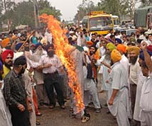 Protesters burn an effigy of the Sacha Sauda chief and block traffic on the GT Road at Chaheru in Phagwara on Wednesday.
