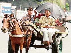 This young child earns his livelihood by running a horse-driven tonga in Ludhiana