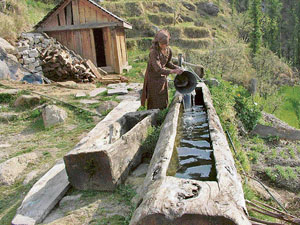 The tradition of storing water in a wooden tank made of a log of tree is still prevalent in interior areas of Mandi.