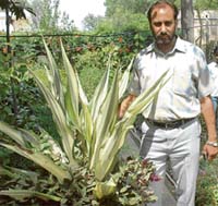 Abdul Wahid at his nursery in Patiala.