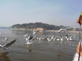 The Ganga at Prayag