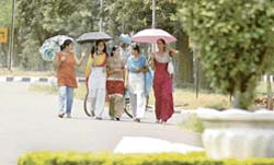 Students of Punjab Agricultural University beat the sun with the help of umbrellas
